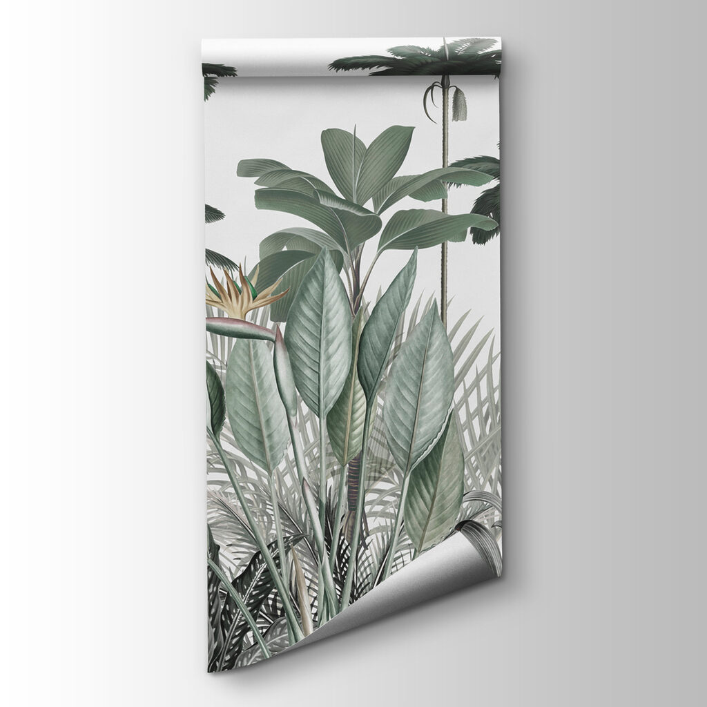 A group of plants with flowers A group of plants with flowers