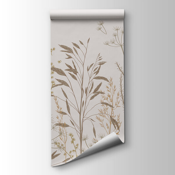 A close up of plants