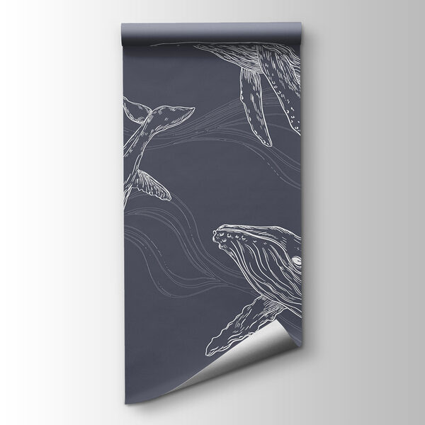 A group of whales swimming A group of whales swimming