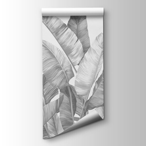 A group of tropical leaves A group of tropical leaves