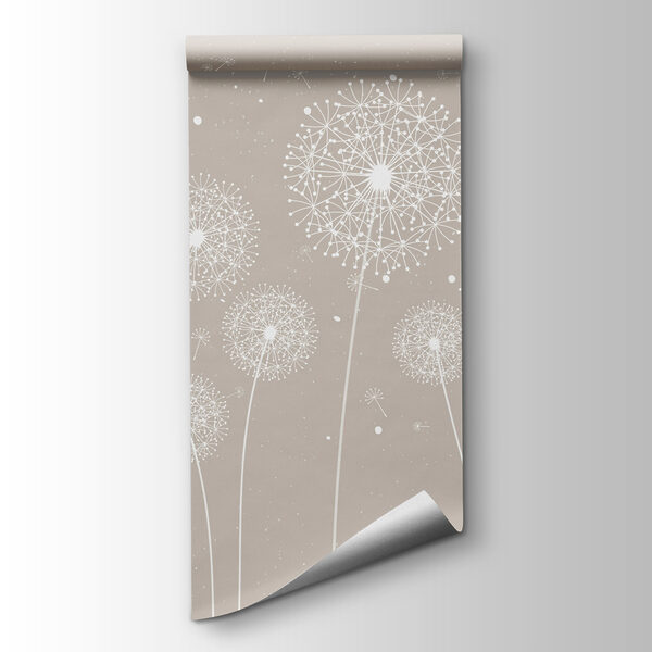 A white dandelions on a grey background A white dandelions on a grey background