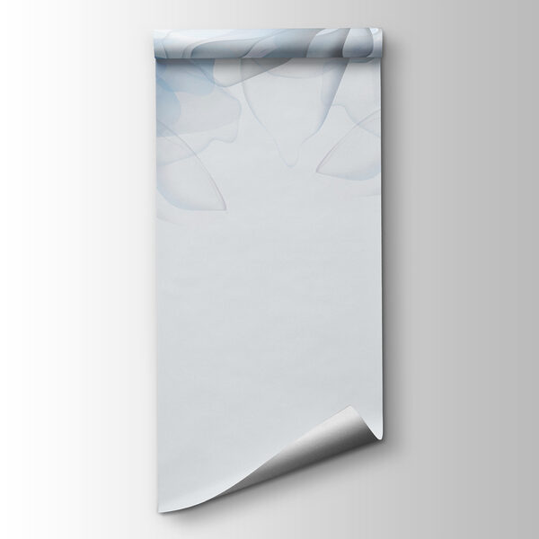 Group of flowers with white and blue flowers Group of flowers with white and blue flowers