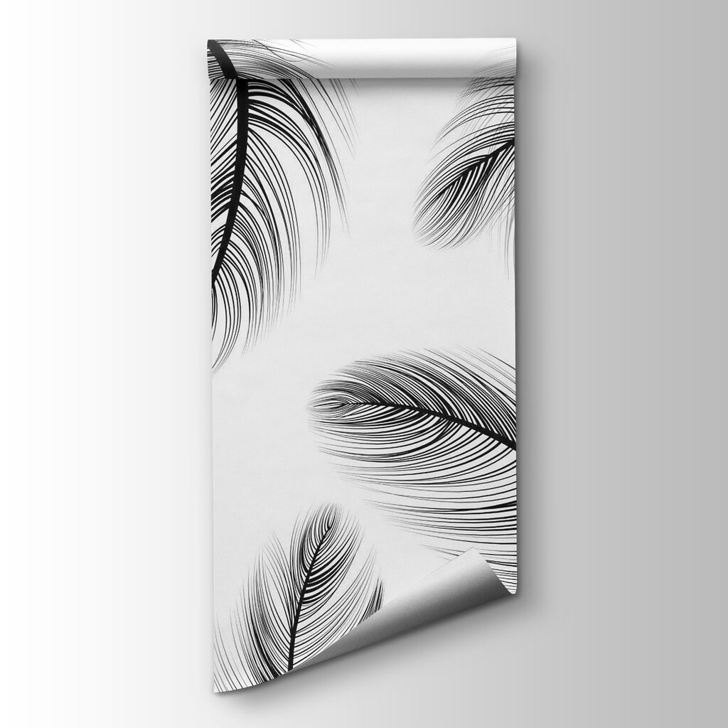 Group of black and white feathers