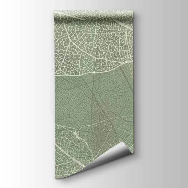 Delicate patterns of nature's design