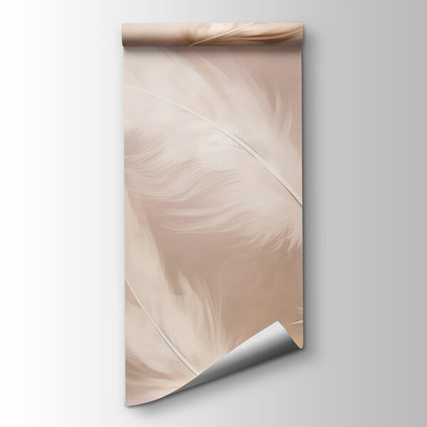 Group of white feathers