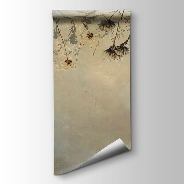 Dried flowers on a branch