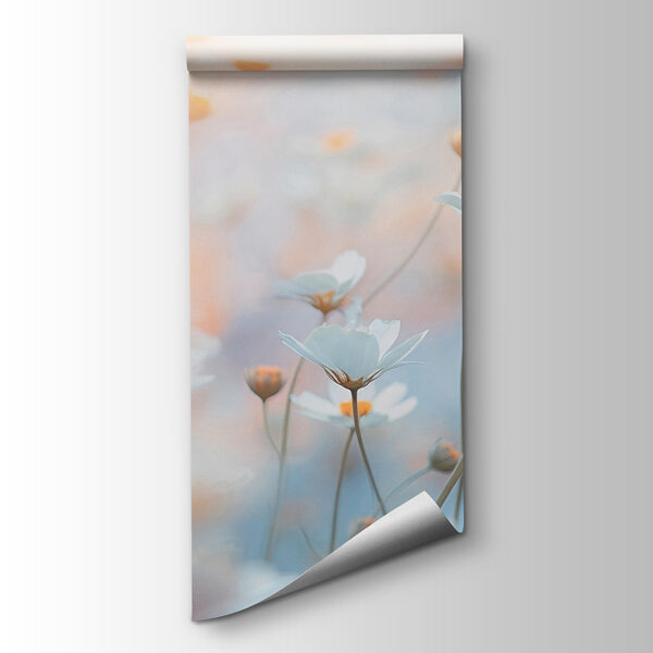 Soft petals in a dreamy garden Soft petals in a dreamy garden