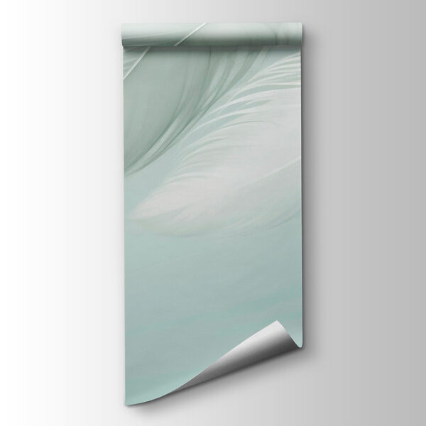 White feathers on a white background