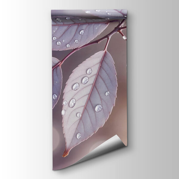 Delicate leaves with dewdrops resting Delicate leaves with dewdrops resting