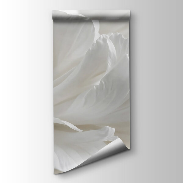 Delicate petals in soft embrace