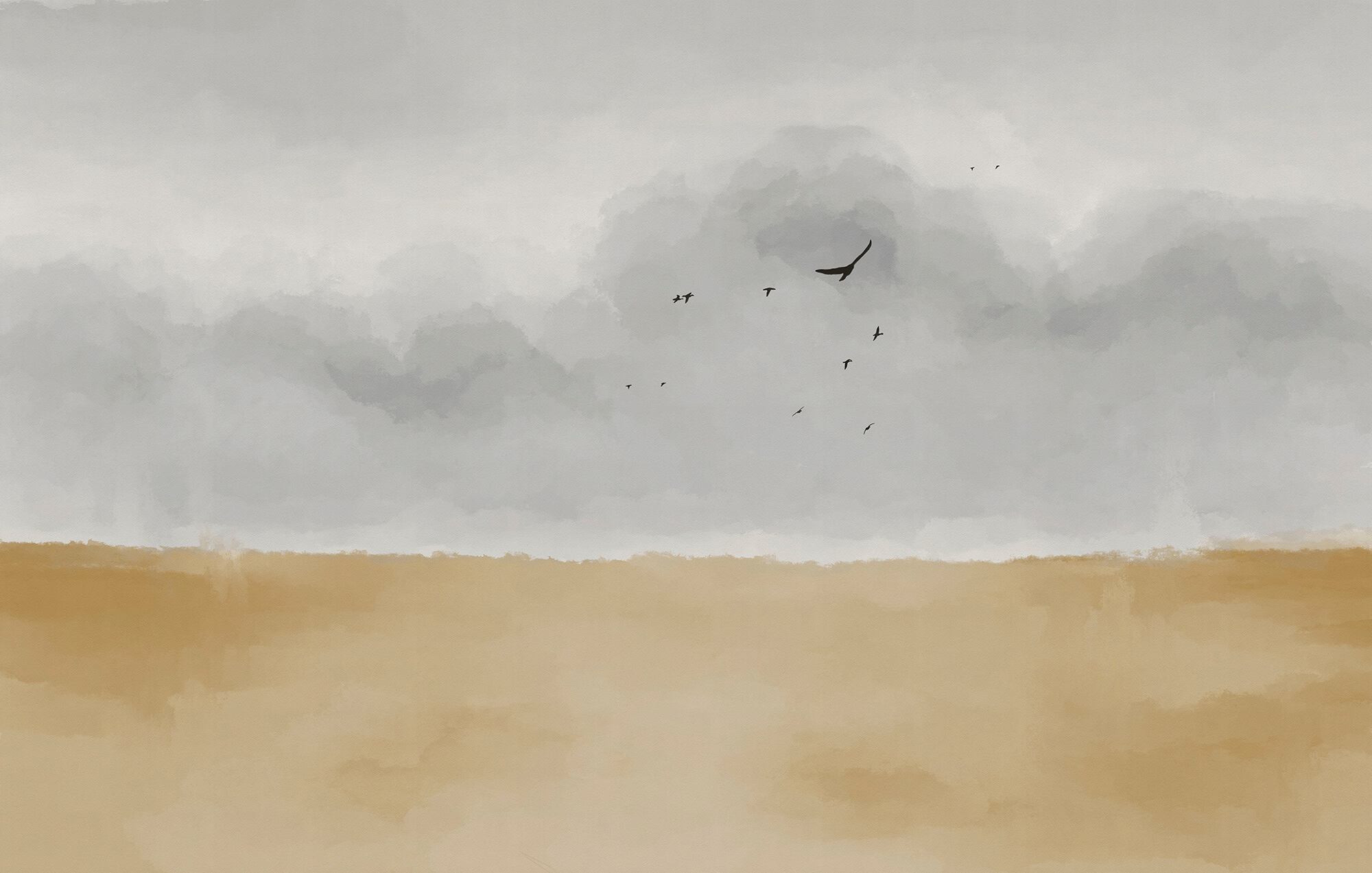 Bird flying in the sky Bird flying in the sky