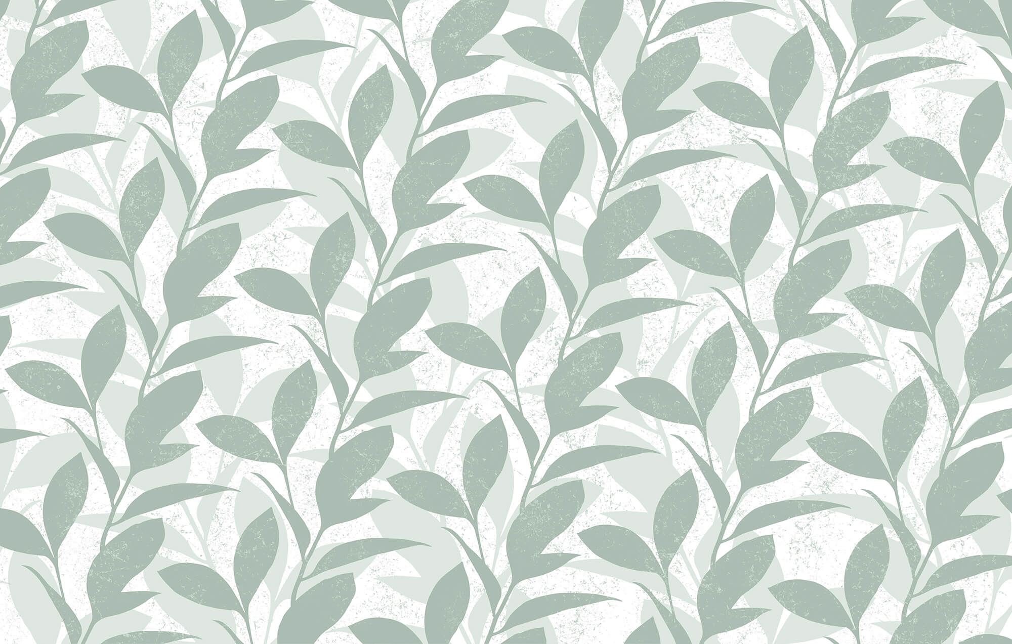 Pattern of leaves on a white background Pattern of leaves on a white background