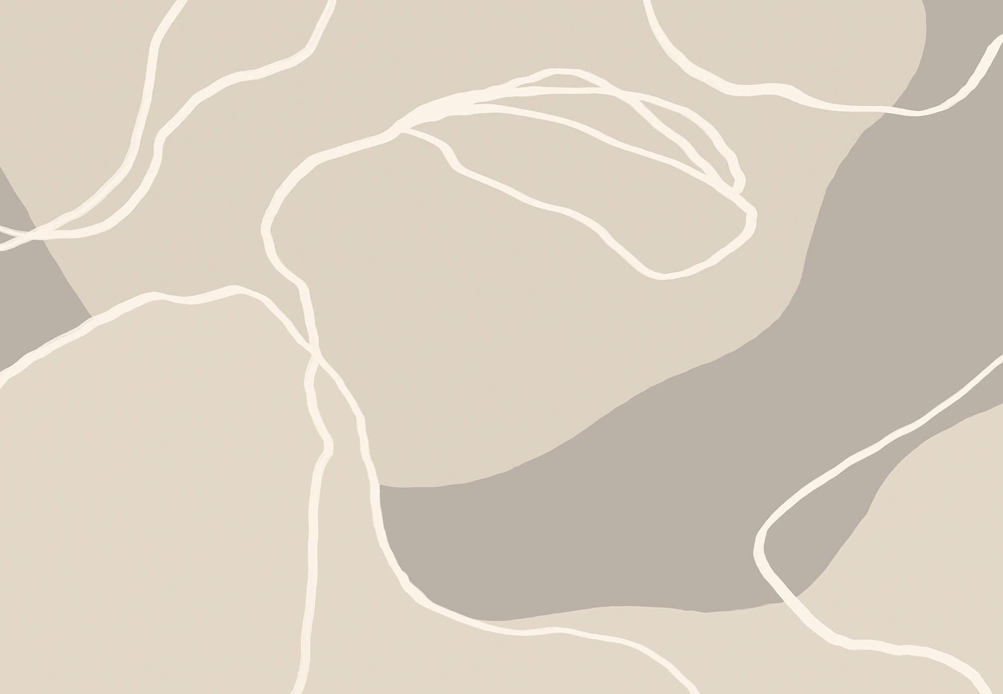 White lines on a beige background