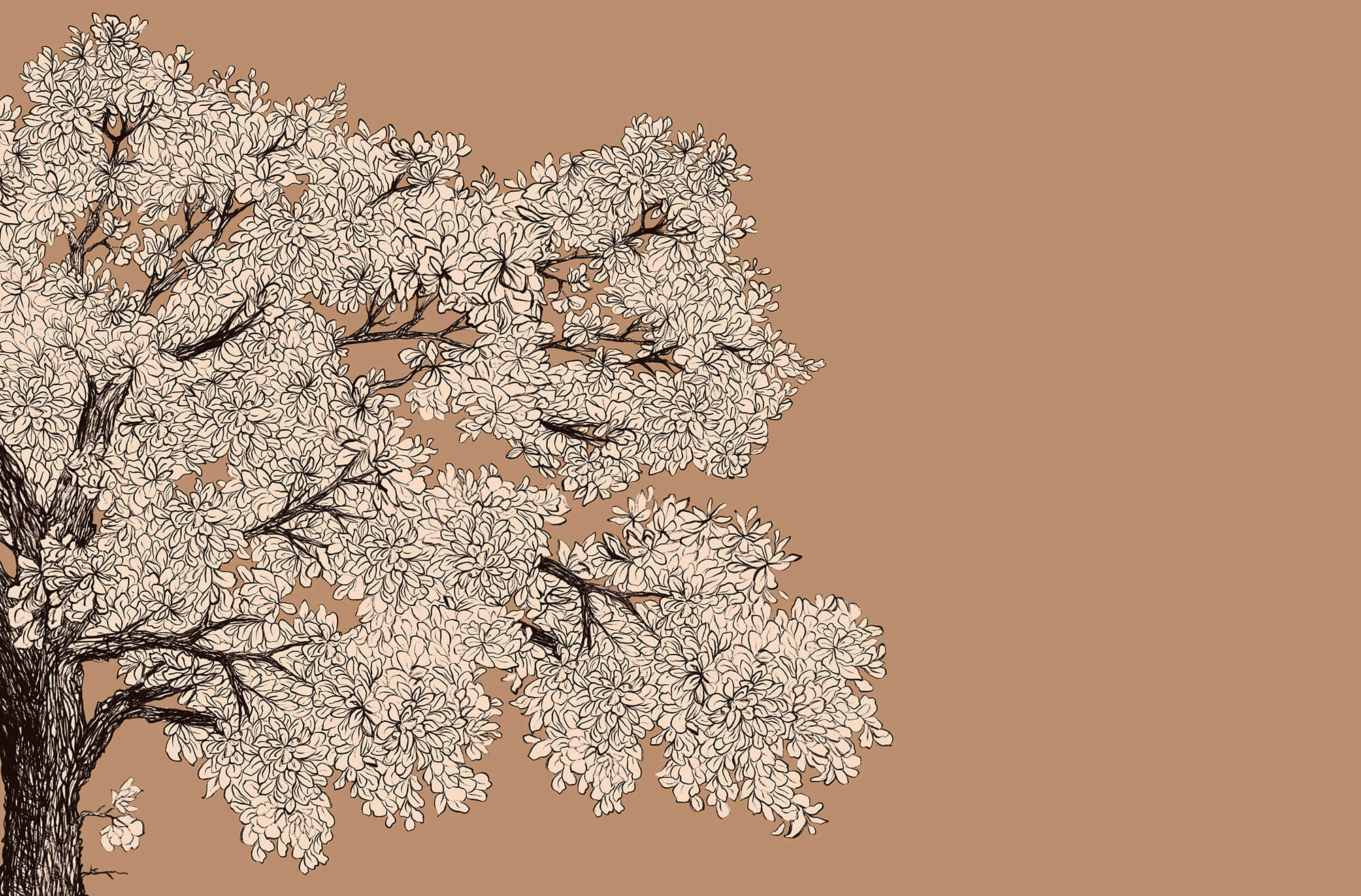 Tree with white flowers