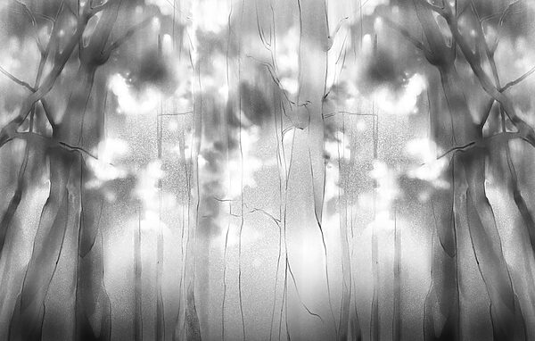 Black and white image of trees Black and white image of trees