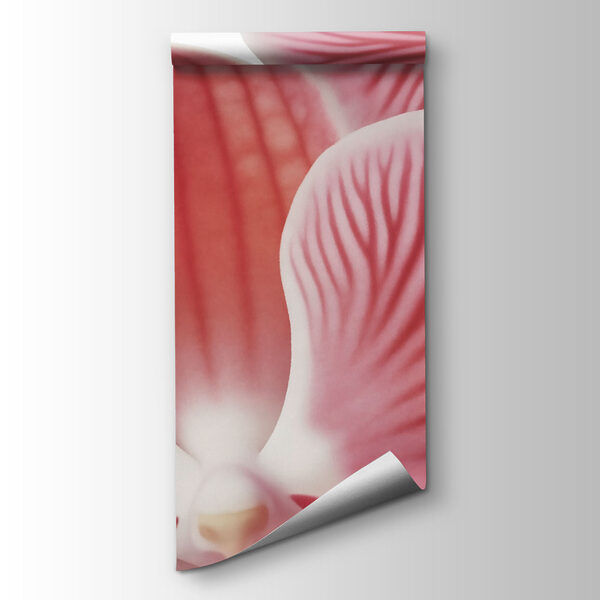 Vibrant blooms in soft pink hues