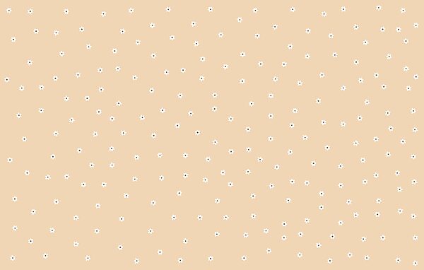 Pattern of small white flowers on a tan background Pattern of small white flowers on a tan background