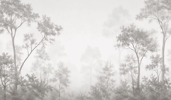 Foggy forest with trees