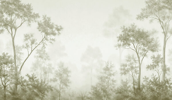 Foggy forest with trees Foggy forest with trees
