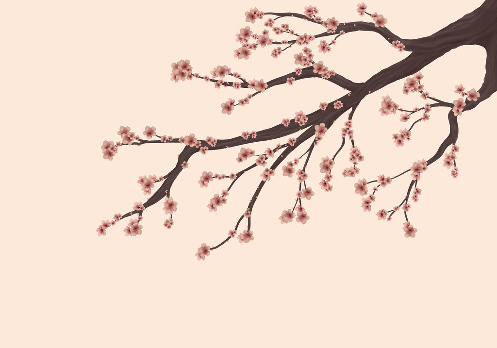 Tree branch with pink flowers