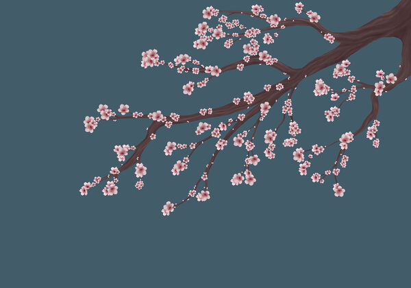Tree branch with pink flowers Tree branch with pink flowers