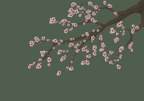 Tree branch with pink flowers Tree branch with pink flowers