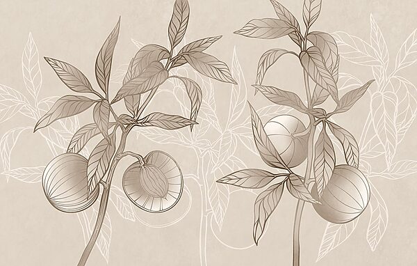 Drawing of a plant with leaves and fruit