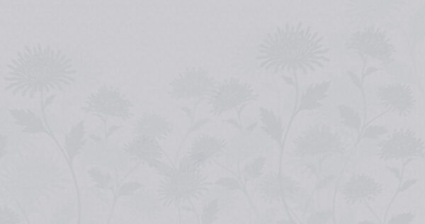 White background with flowers White background with flowers