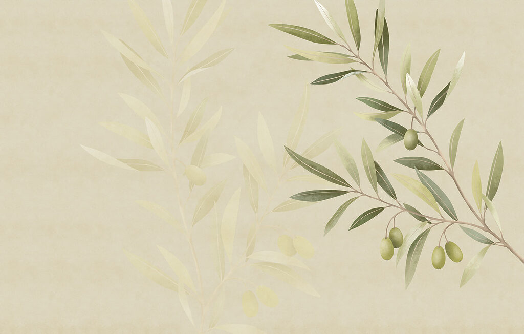 Delicate olive branch design element Delicate olive branch design element