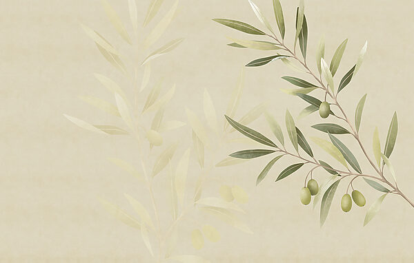 Delicate olive branch design element Delicate olive branch design element