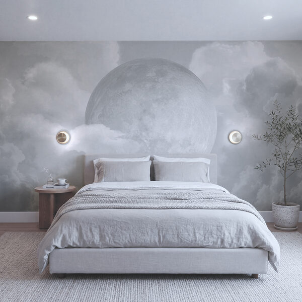 Full moon in the clouds Full moon in the clouds