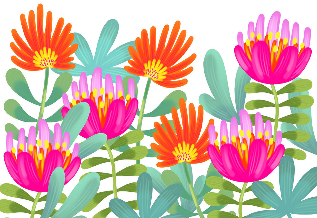 Group of colorful flowers Group of colorful flowers