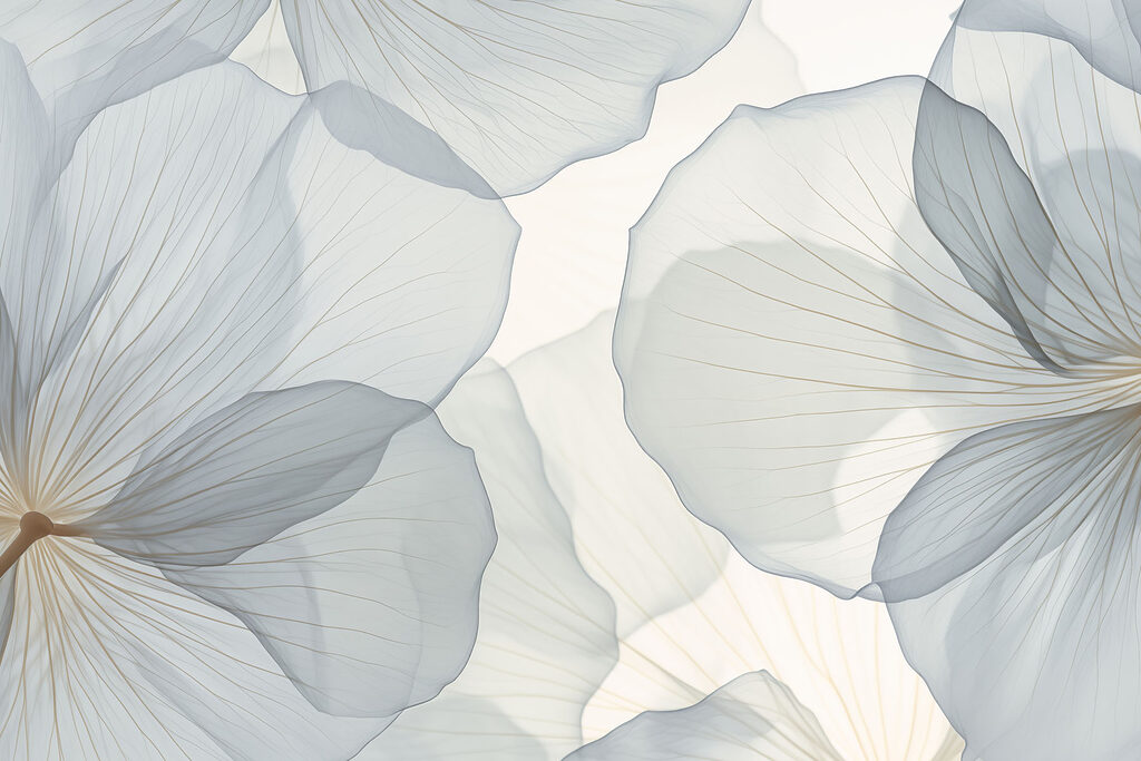 Delicate petals in soft hues