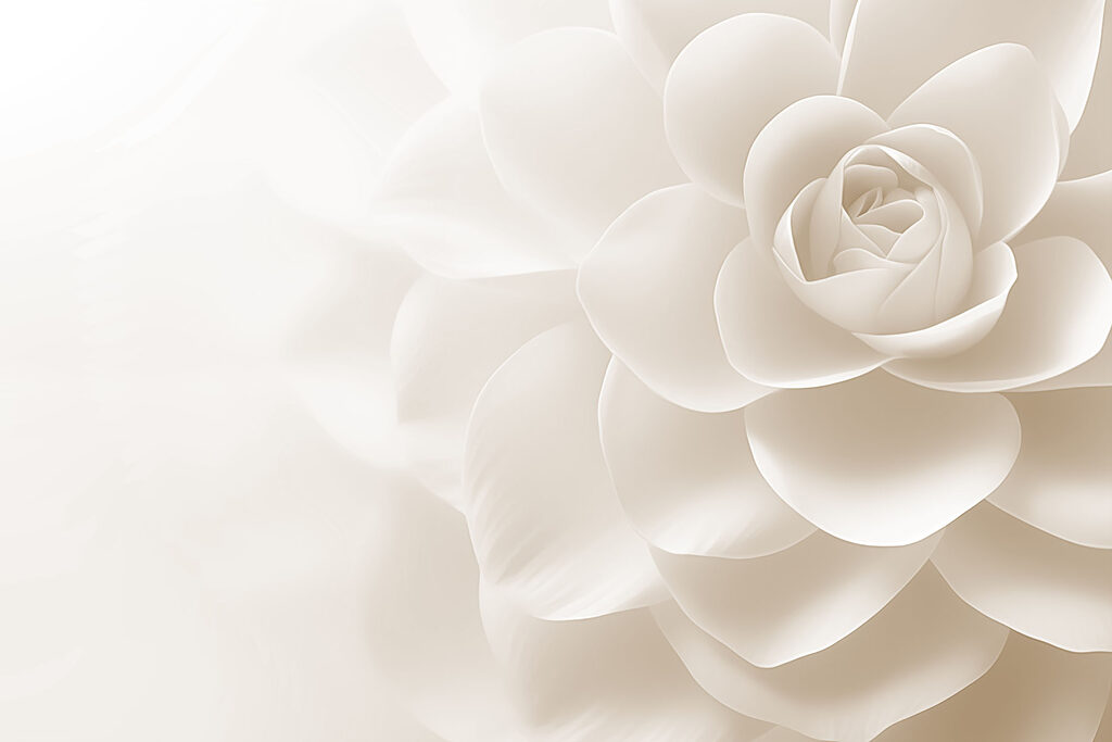Delicate petals in soft hues Delicate petals in soft hues