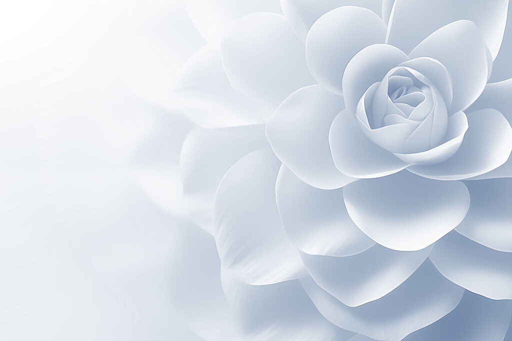 Delicate petals in soft shades Delicate petals in soft shades