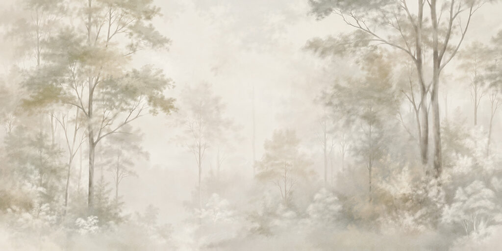 Foggy forest with trees