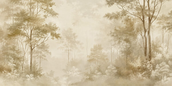 Foggy forest with trees Foggy forest with trees