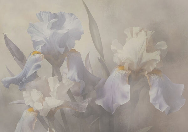 Whispers of floral elegance unfolding