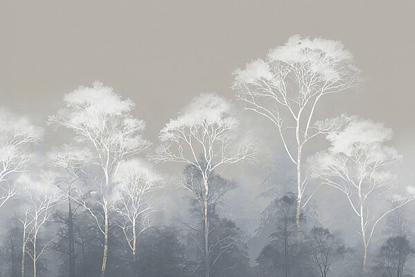 Group of trees with fog