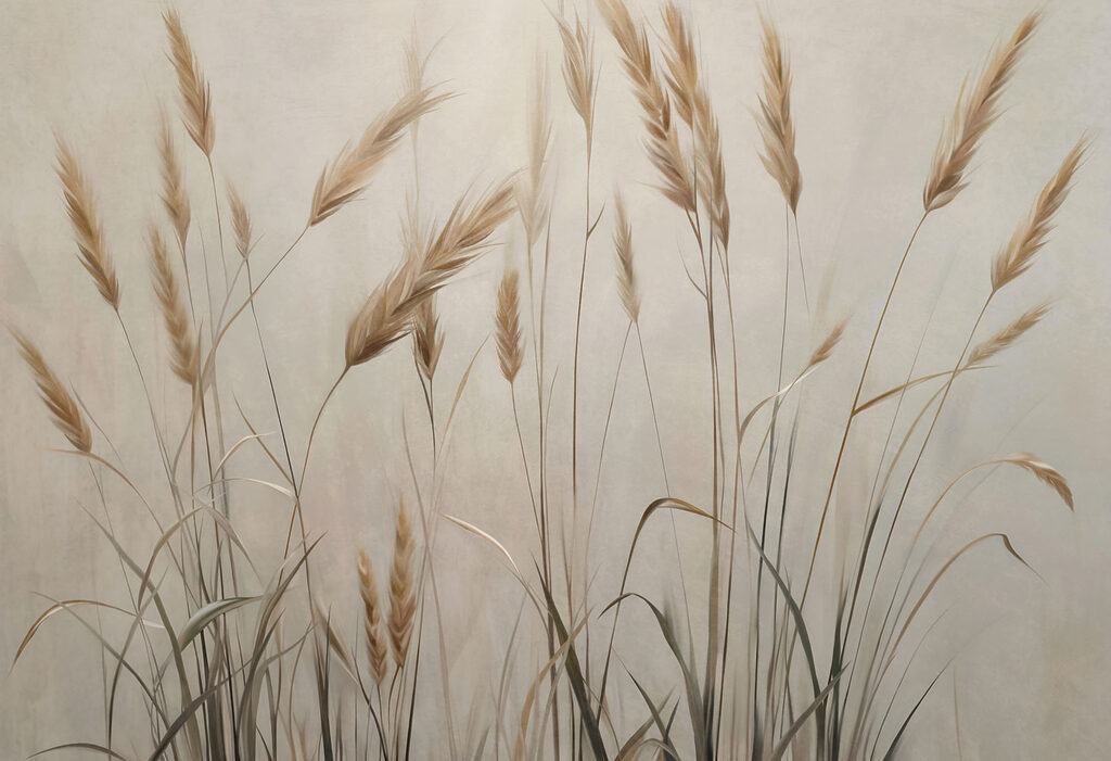 Gentle grasses sway in soft light Gentle grasses sway in soft light