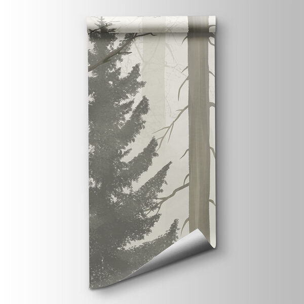 Foggy forest with trees
