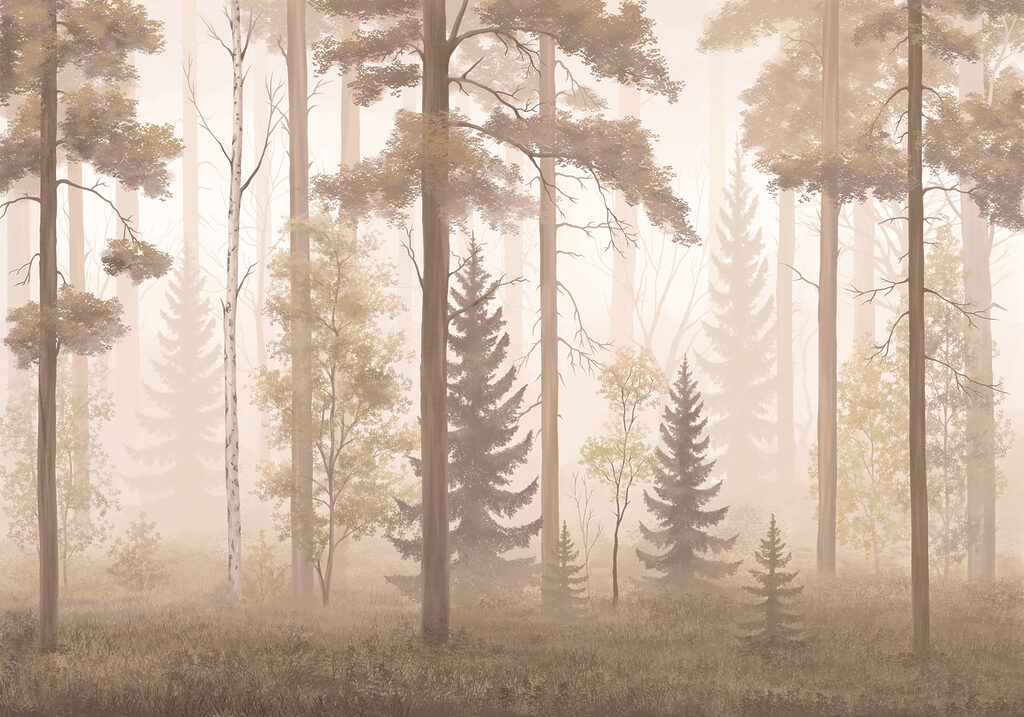 Foggy forest with trees