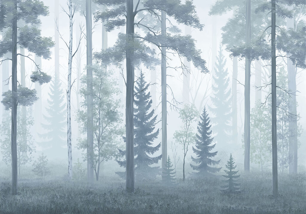 Foggy forest with trees