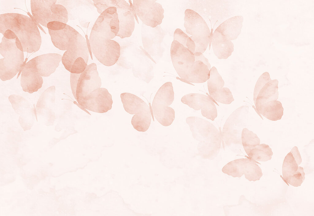 Group of butterflies on a white background