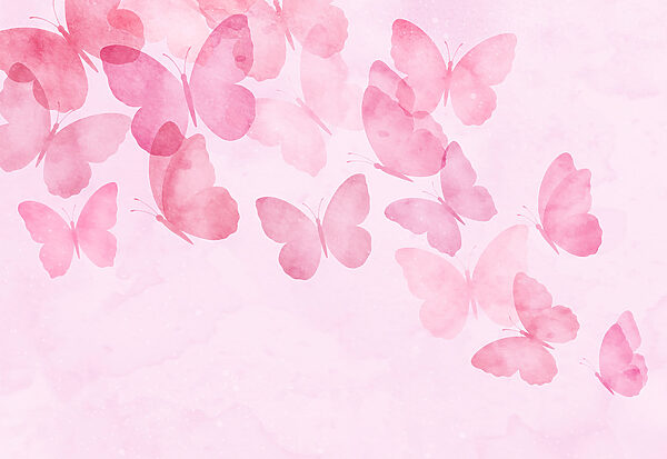 Group of butterflies on a pink background Group of butterflies on a pink background