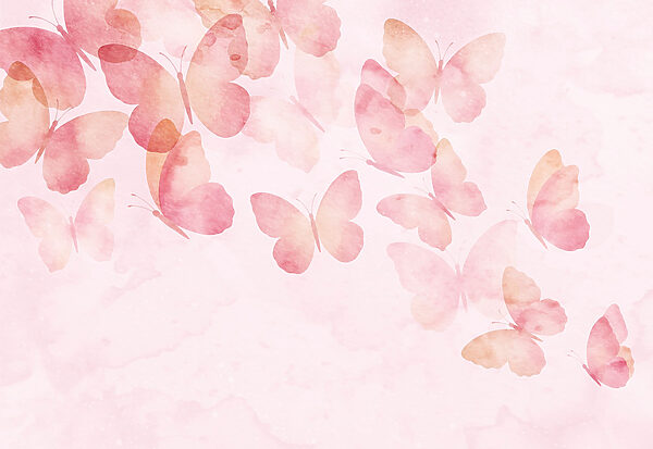 Group of butterflies on a pink background