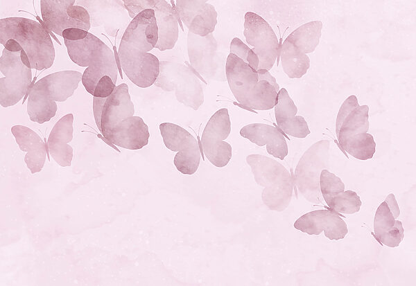 Group of butterflies on a pink background