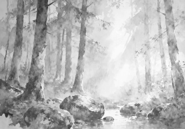 River with rocks in the middle of a forest River with rocks in the middle of a forest