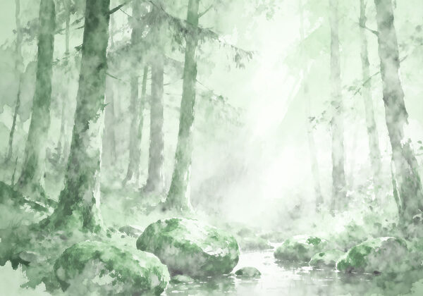 Watercolor painting of a forest with rocks and trees