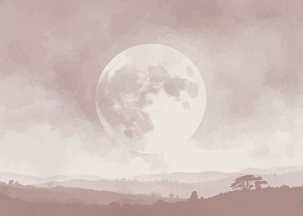 Moon in the sky Moon in the sky